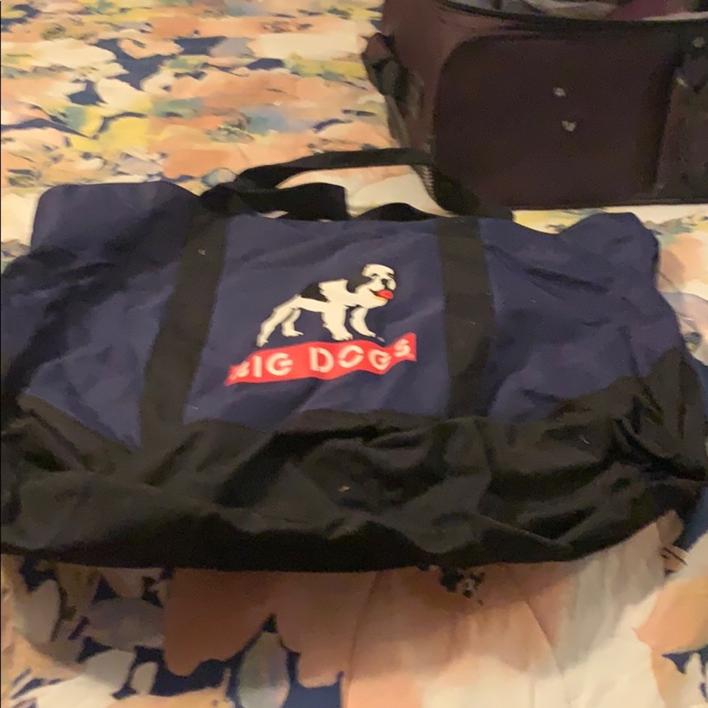 Big dogs bag